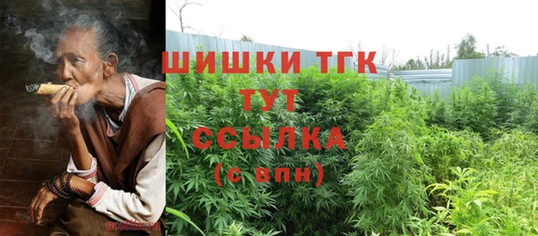соль ск Богородицк