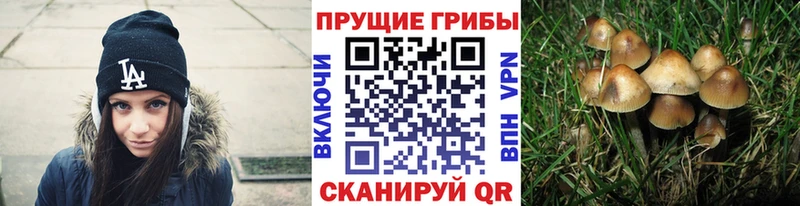 Галлюциногенные грибы GOLDEN TEACHER Волосово